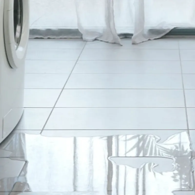 Appliance Leak Cleanup in South Sanford, ME