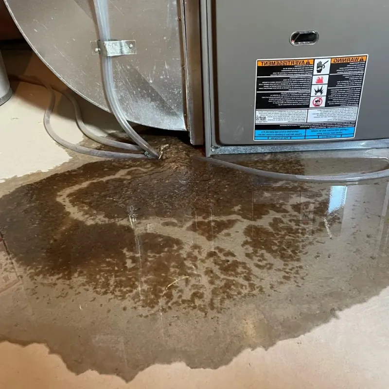 Pipe Burst and Leak Restoration in South Sanford, ME